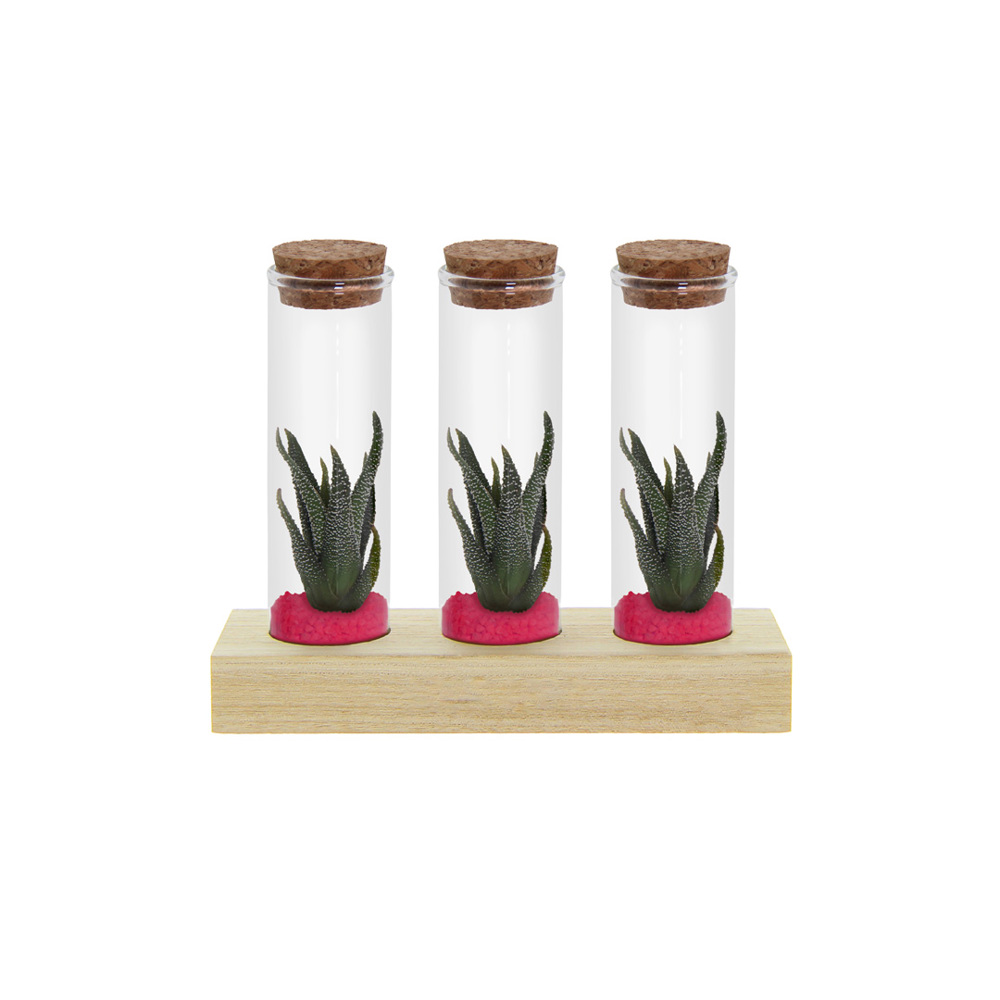 Tiny Treasurez® - Trio tube & wood - Dunkelrosa