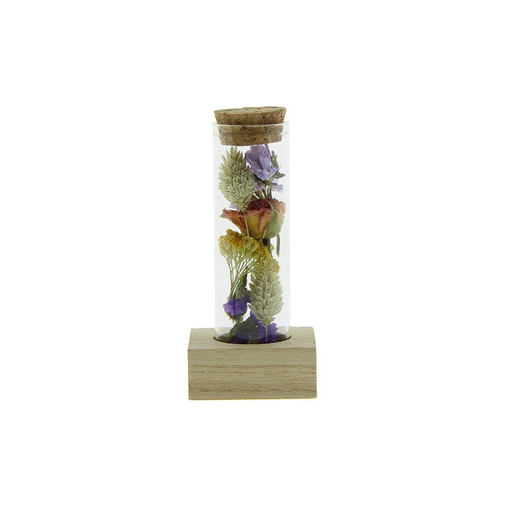 Dried Flowers - Single tube & wood - Multifarben