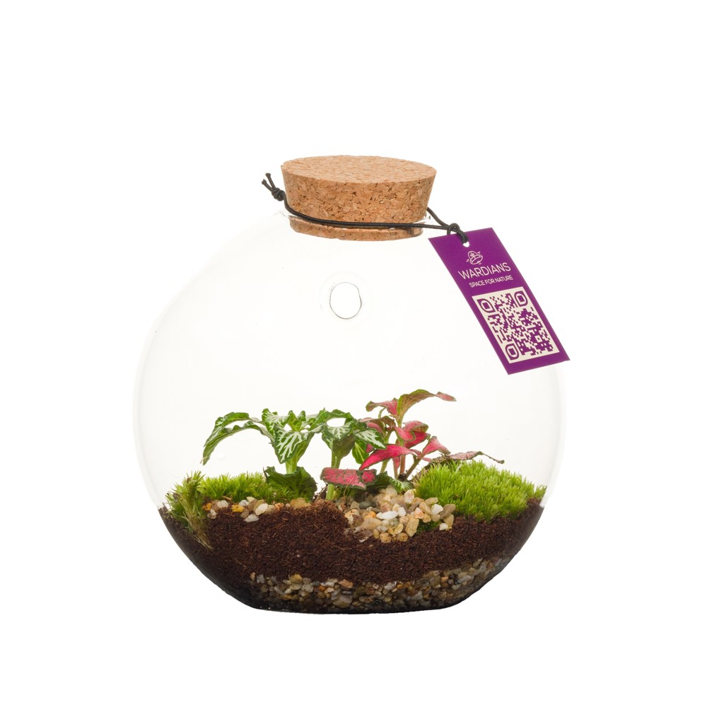 Wardians® Ecosystem - Wall hanger small, Ohne Verpackung