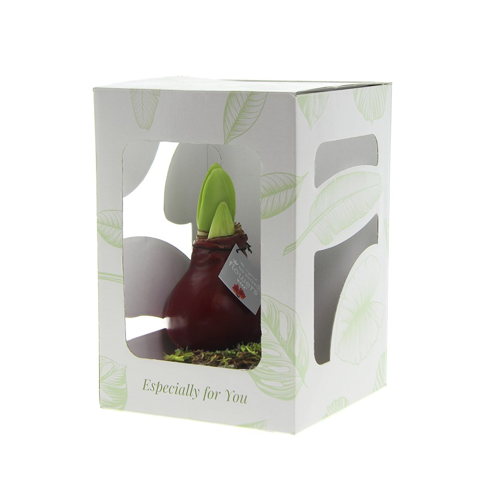 No Water Flowers® - Waxz® on wood, Ohne Verpackung, Silber