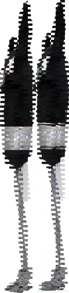 Hundespielzeug Metalhand, multicolour, one size