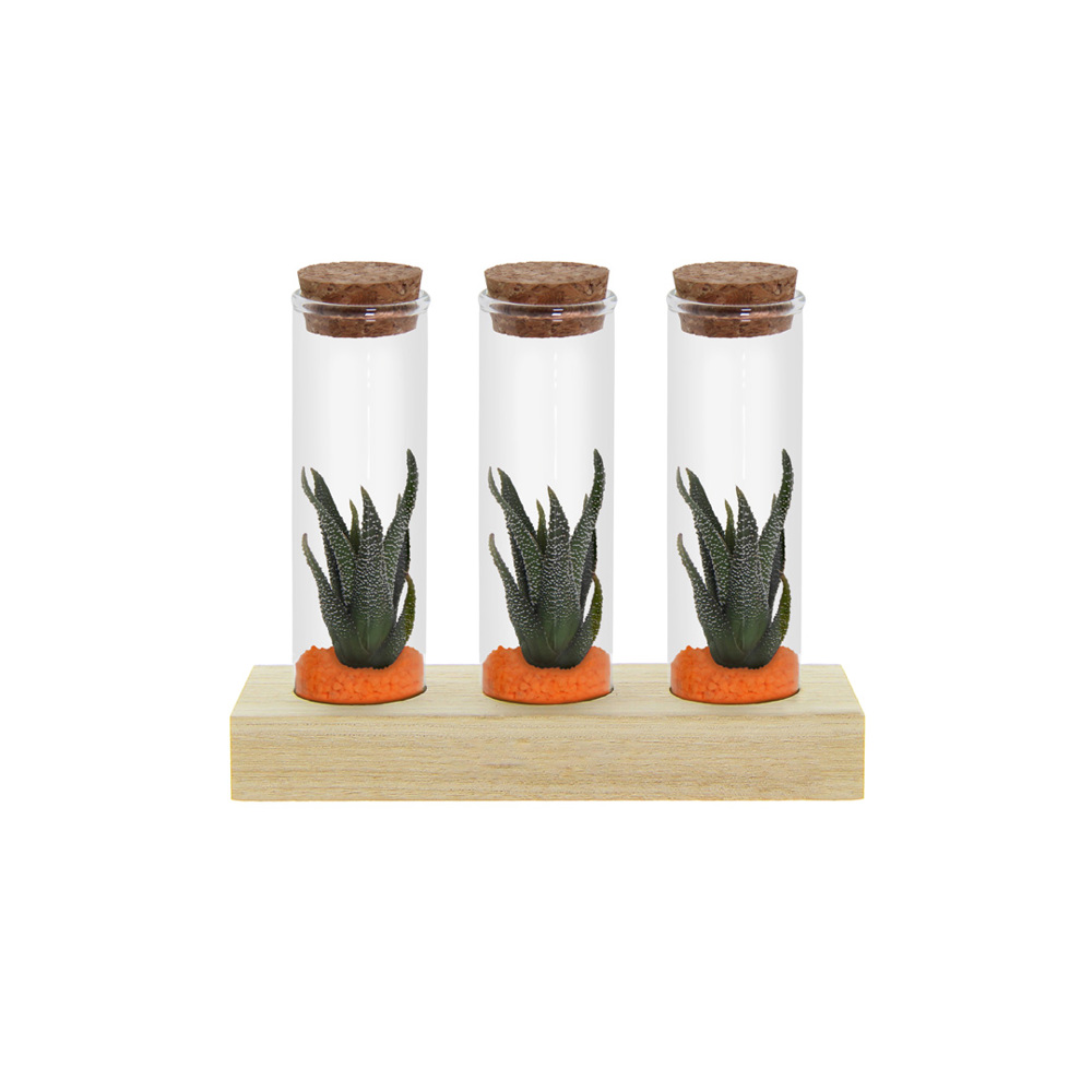 Tiny Treasurez® - Trio tube & wood - orange