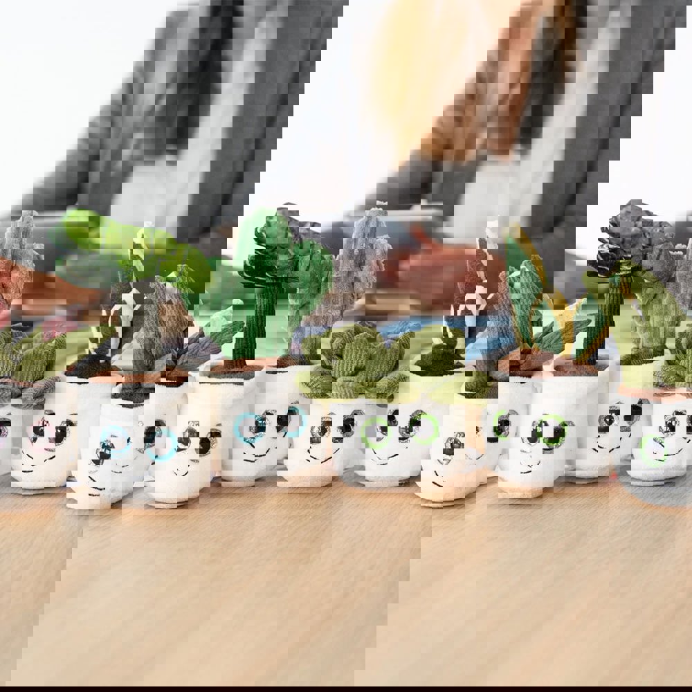 Schmoozies® Evergreenies® Sukkulente, multicolour, one size