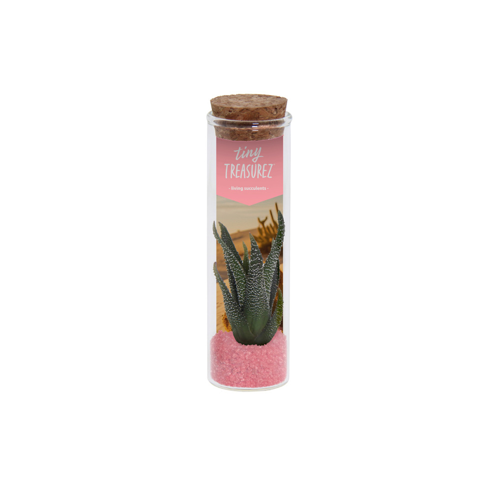 Tiny Treasurez® - Message in a bottle small - hellrosa