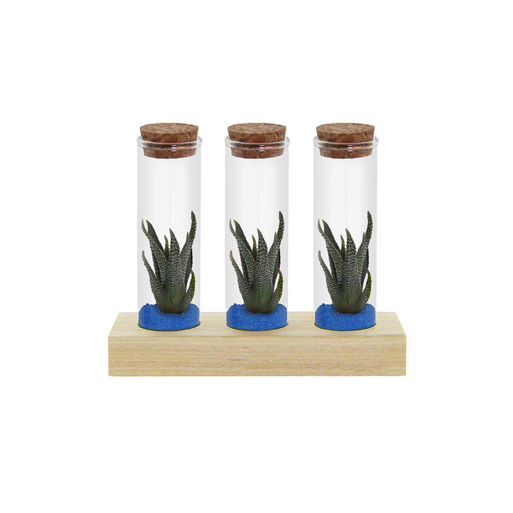 Tiny Treasurez® - Trio tube & wood - blau