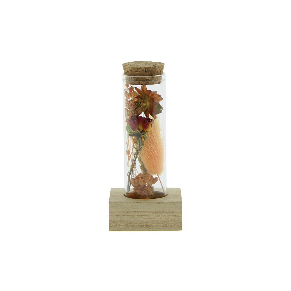 Dried Flowers - Single tube & wood - orange