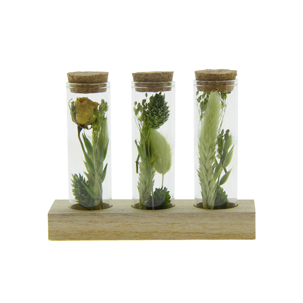 Dried Flowers - Trio tube & wood - grün