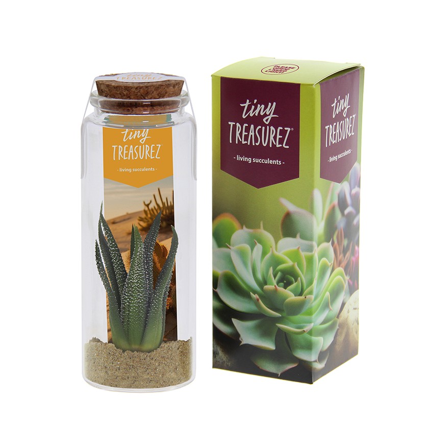 Tiny Treasurez® - Message in a bottle large, Ohne Verpackung, Blau