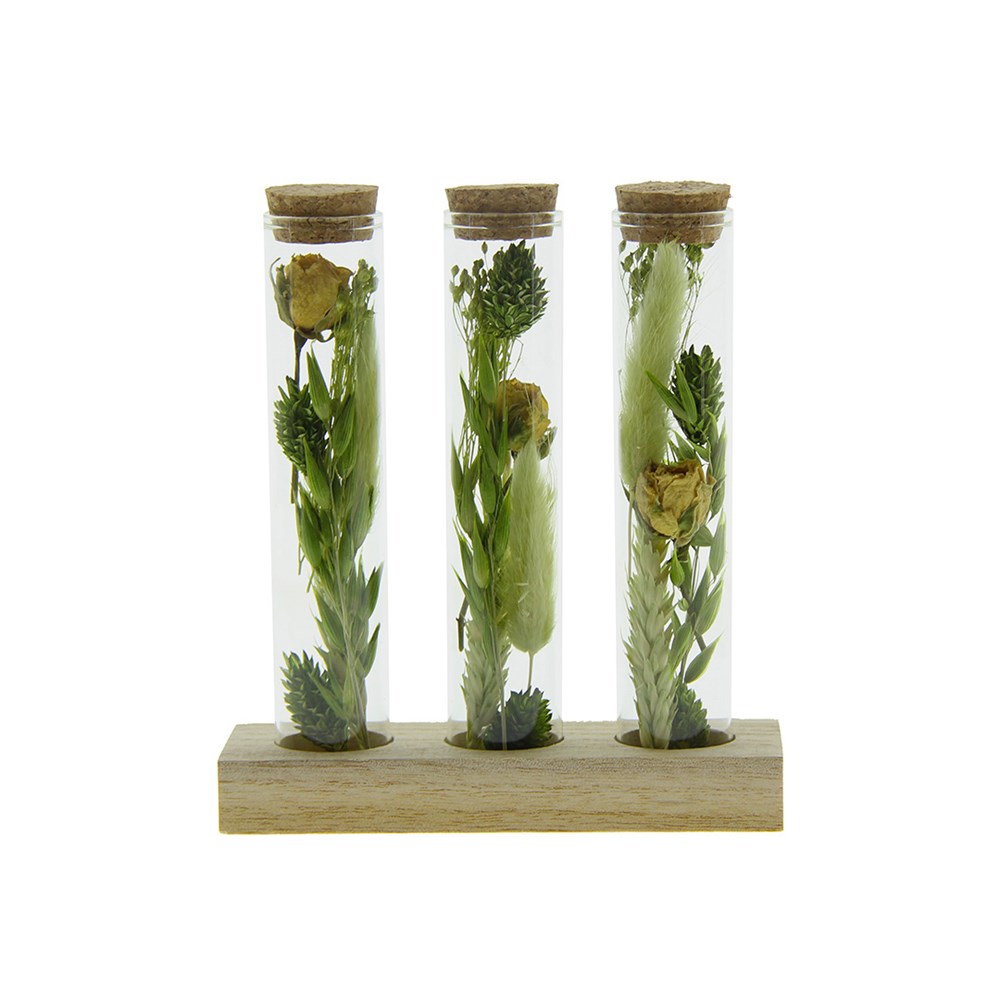 Dried Flowers - Trio tube & wood - Grün