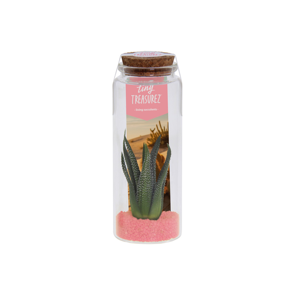 Tiny Treasurez® - Message in a bottle large - Hellrosa