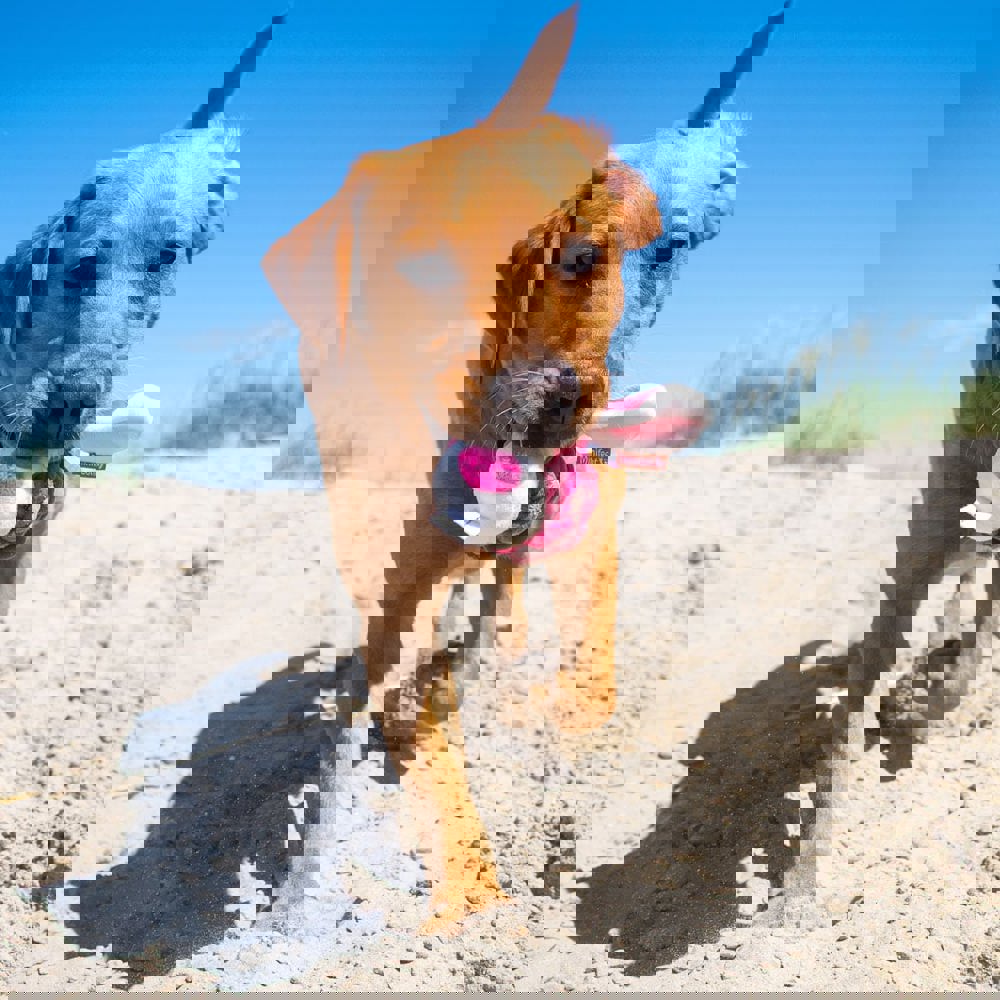 Hundespielzeug Knotentier Hase, pink, one size