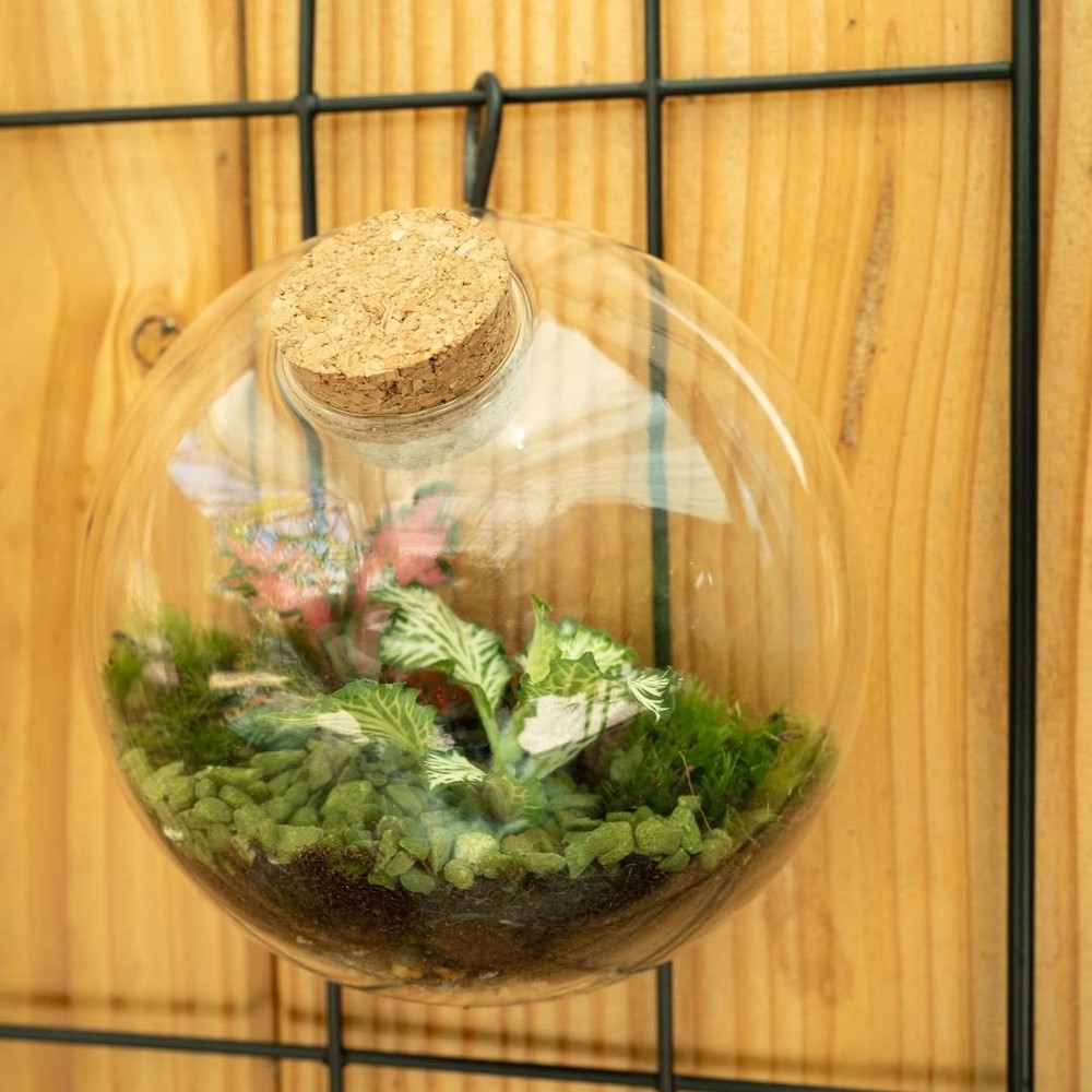 Wardians® Ecosystem - Wall hanger small, Ohne Verpackung