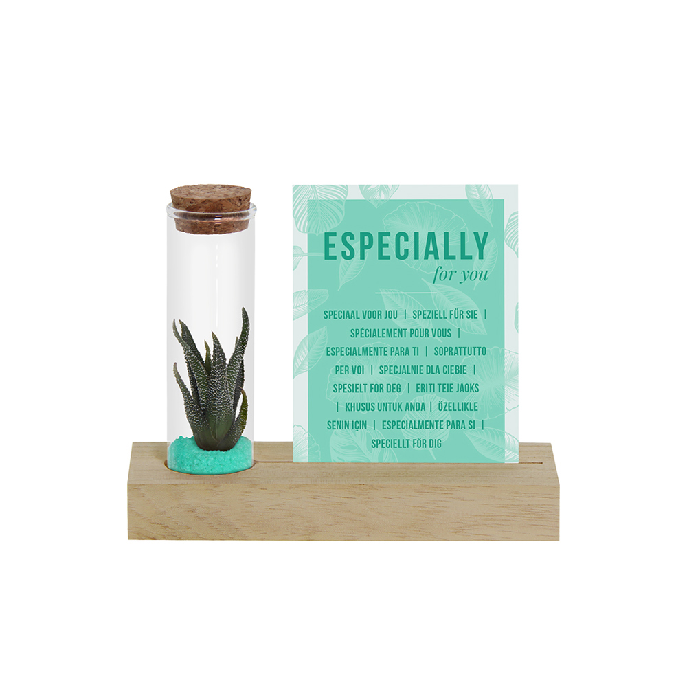 Tiny Treasurez® - Cardholder & tube - türkis