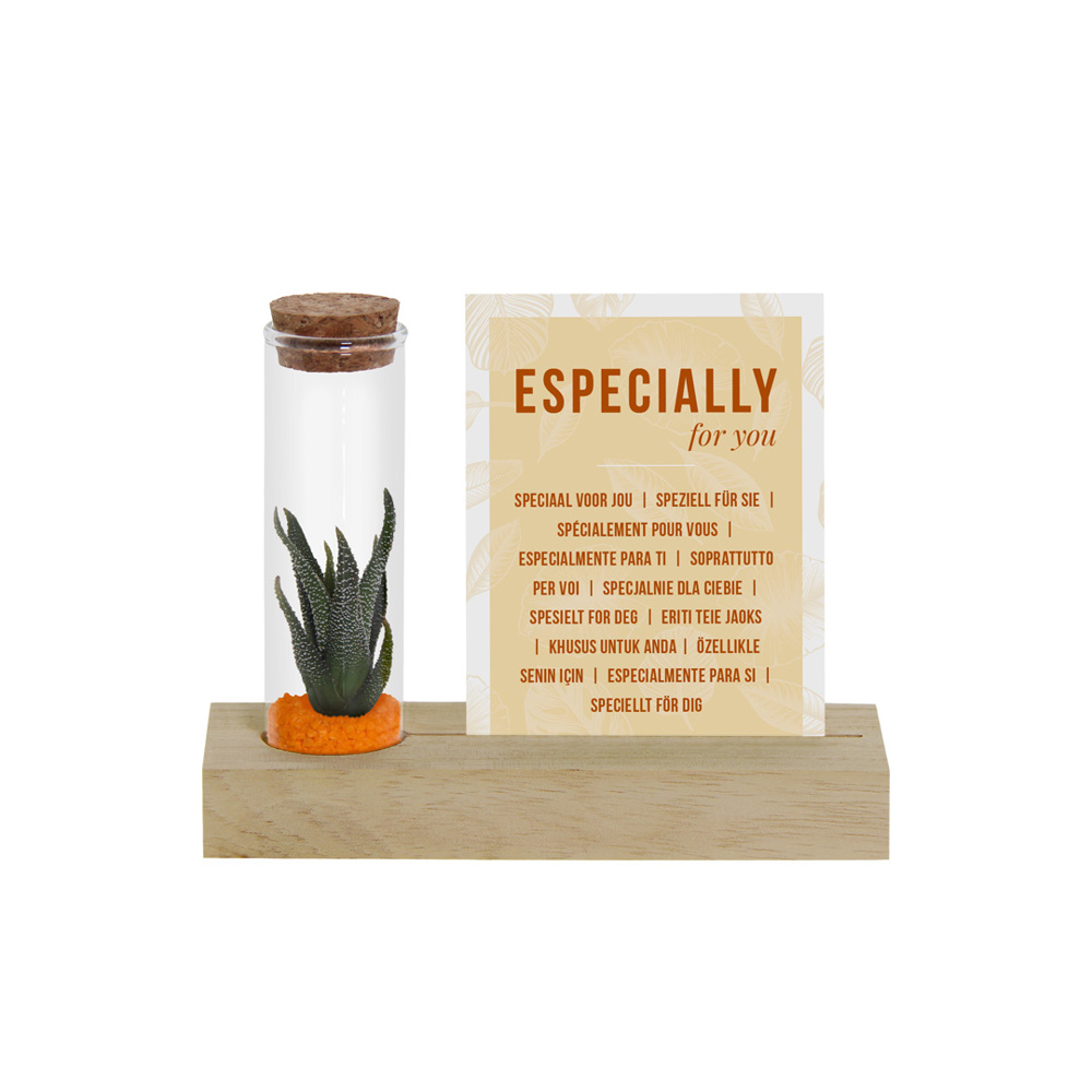 Tiny Treasurez® - Cardholder & tube - orange