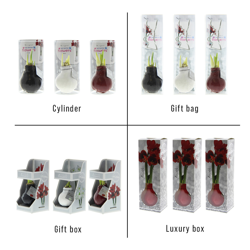 No Water Flowers® - Jingle Bellz, In einer Luxusbox, Schwarz