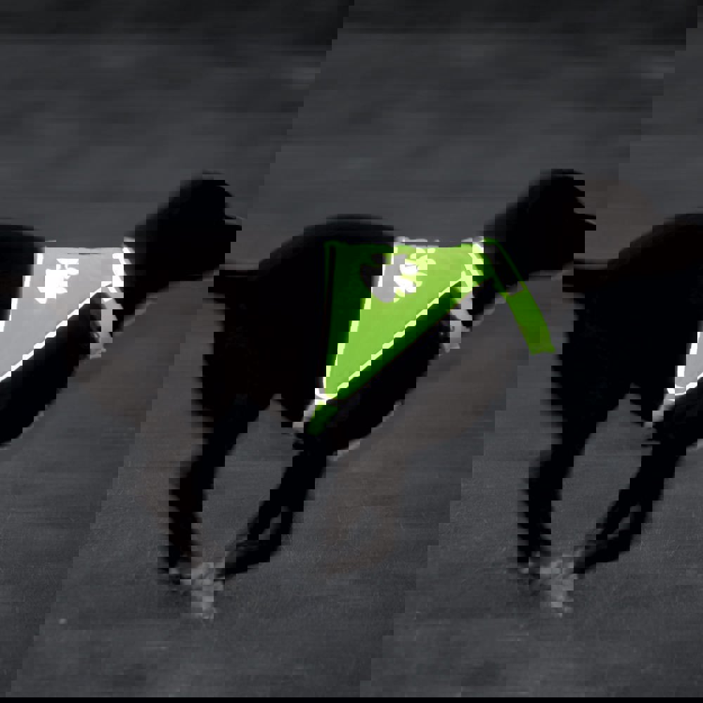 Hundewarnweste, neongelb, L