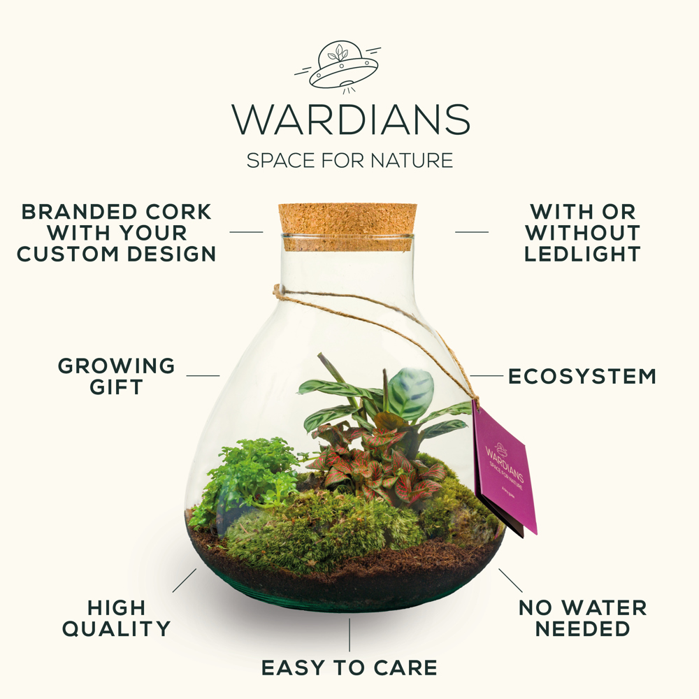 Wardians® Ecosystem - Wall hanger small, Ohne Verpackung