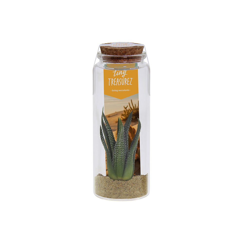 Tiny Treasurez® - Message in a bottle large