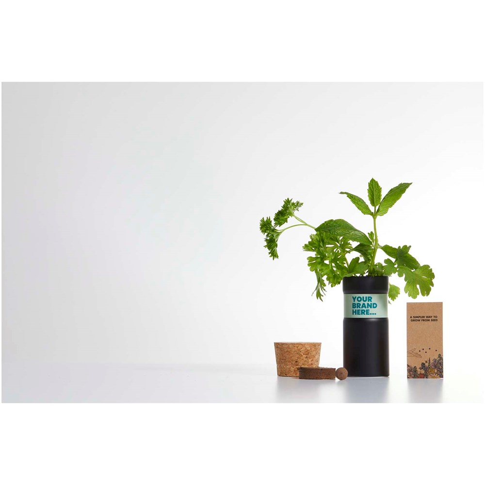 Hey Pots Schreibtisch-Garten-Blumenmischung