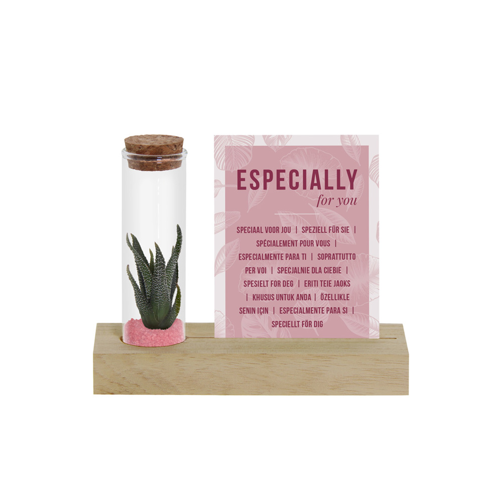 Tiny Treasurez® - Cardholder & tube - hellrosa