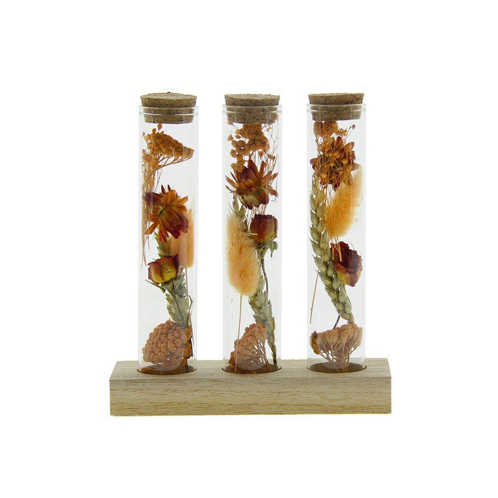 Dried Flowers - Trio tube & wood - orange
