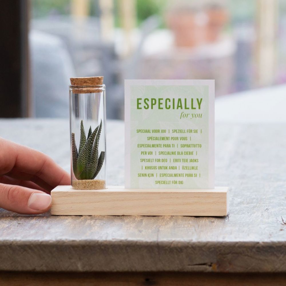 Tiny Treasurez® - Cardholder & tube, Grün