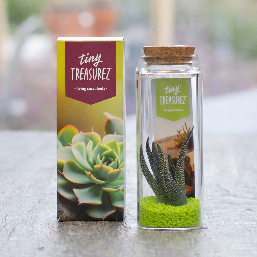 Tiny Treasurez® - Message in a bottle large, Ohne Verpackung, Blau