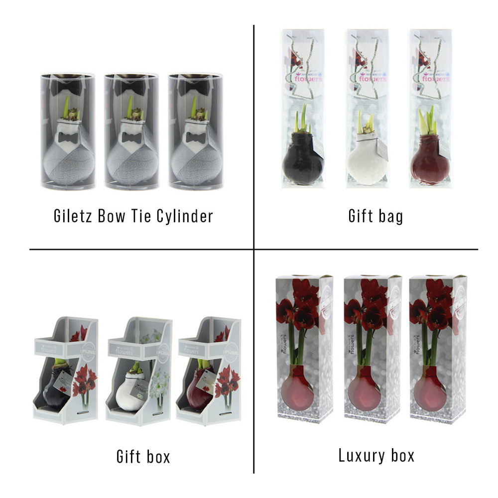 No Water Flowers® - Giletz Bow Tie, Ohne Verpackung