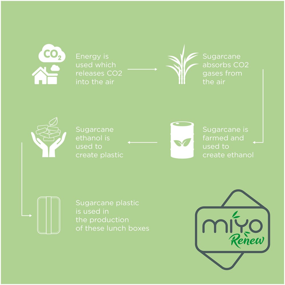 MIYO Renew Lunchbox