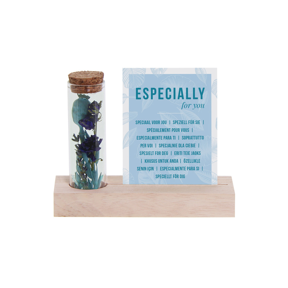 Dried Flowers - Cardholder & tube - hellblau