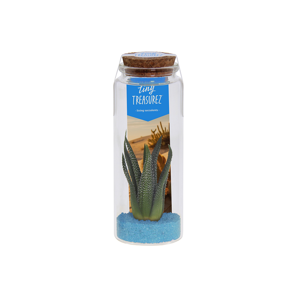 Tiny Treasurez® - Message in a bottle large - hellblau