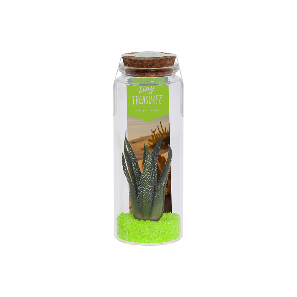 Tiny Treasurez® - Message in a bottle large - Grün