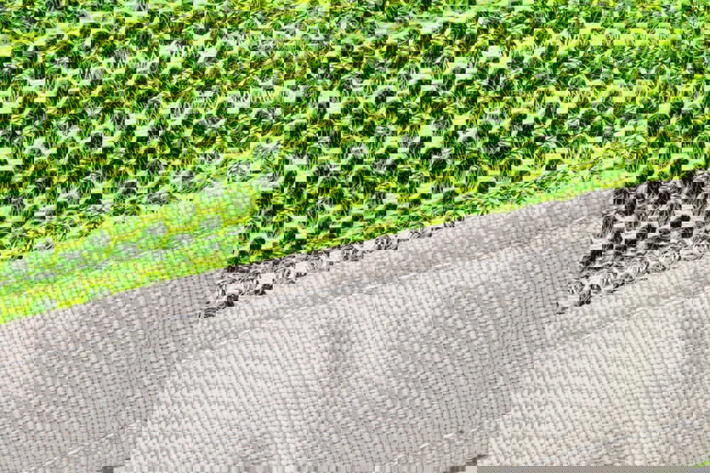 Hundespielzeug Krake Bubbles, grün, one size