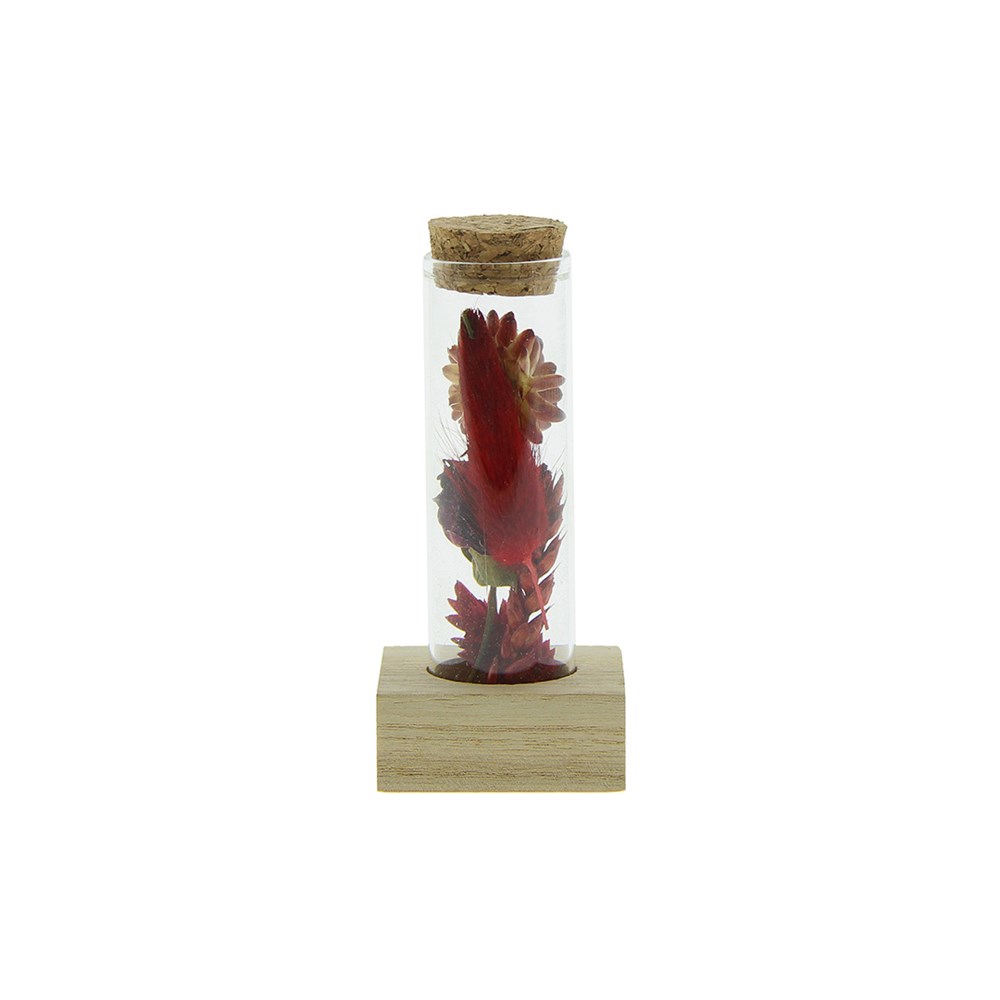 Dried Flowers - Single tube & wood - Rot