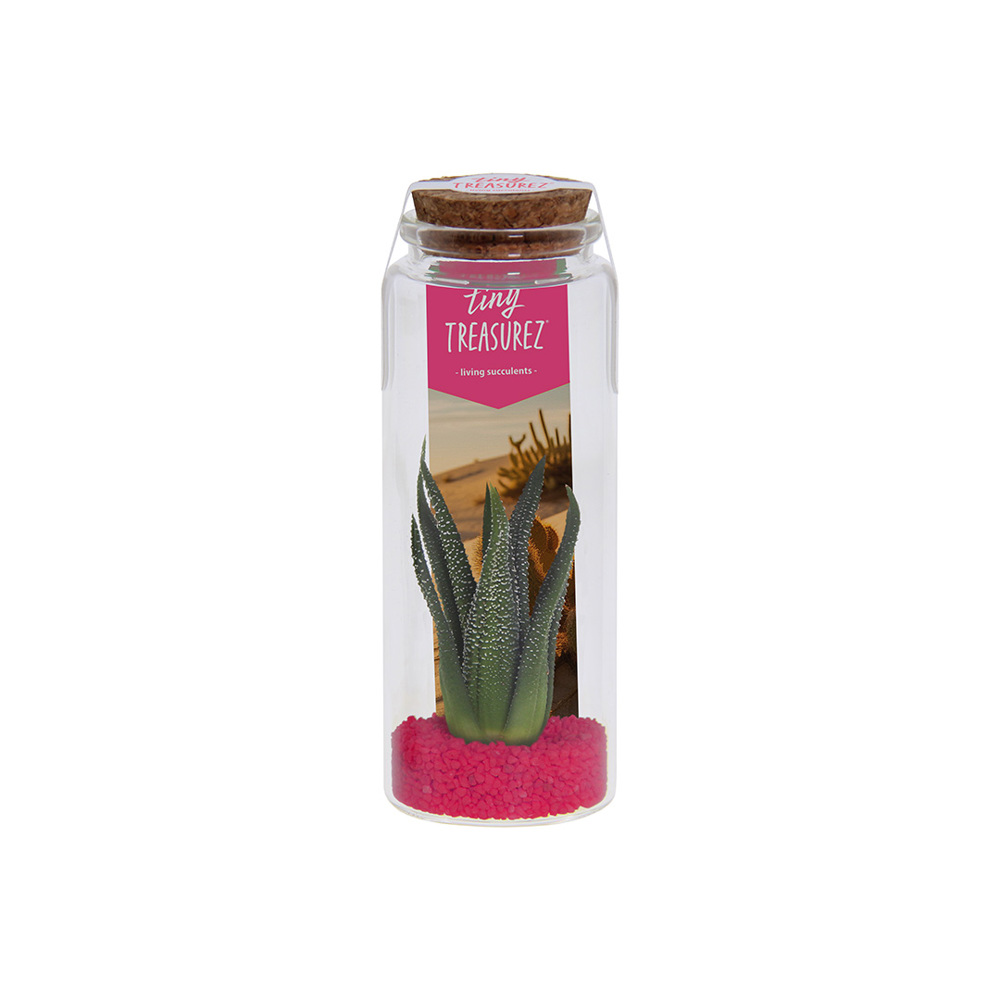 Tiny Treasurez® - Message in a bottle large - Dunkelrosa