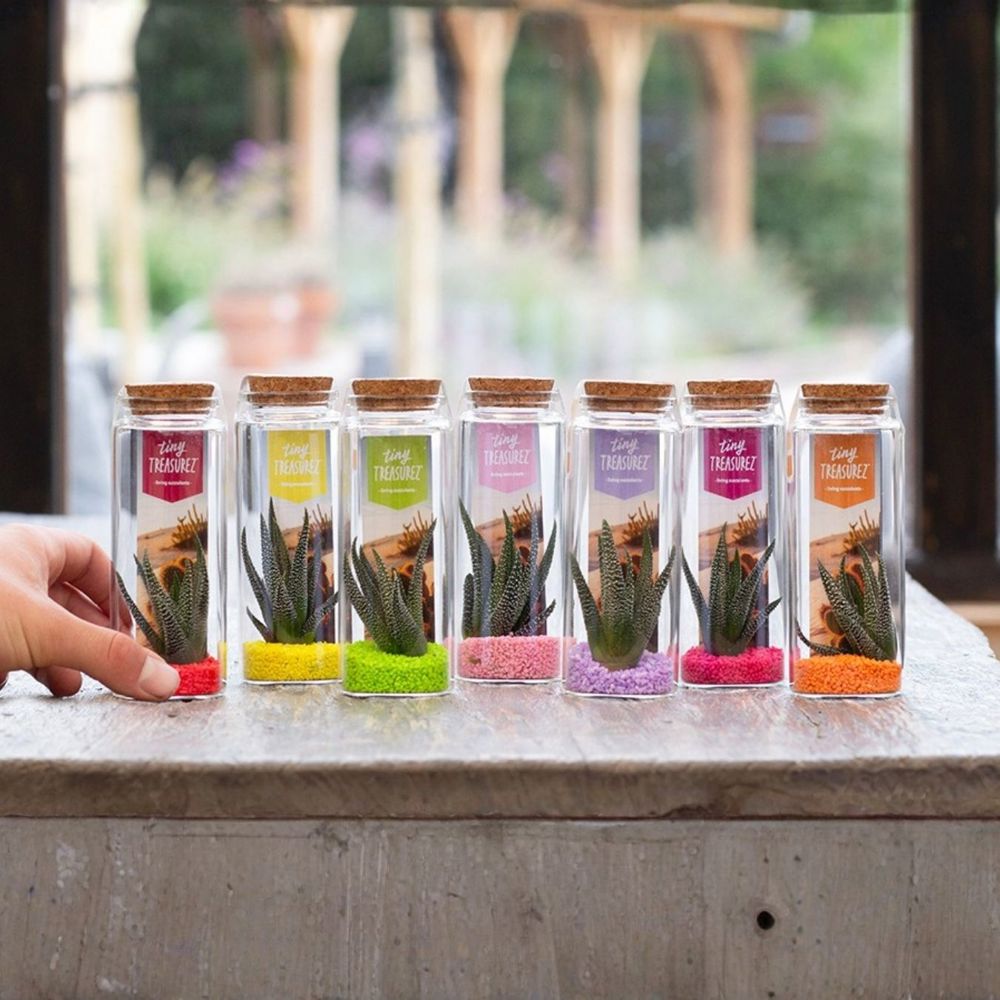 Tiny Treasurez® - Message in a bottle large, Ohne Verpackung, Blau