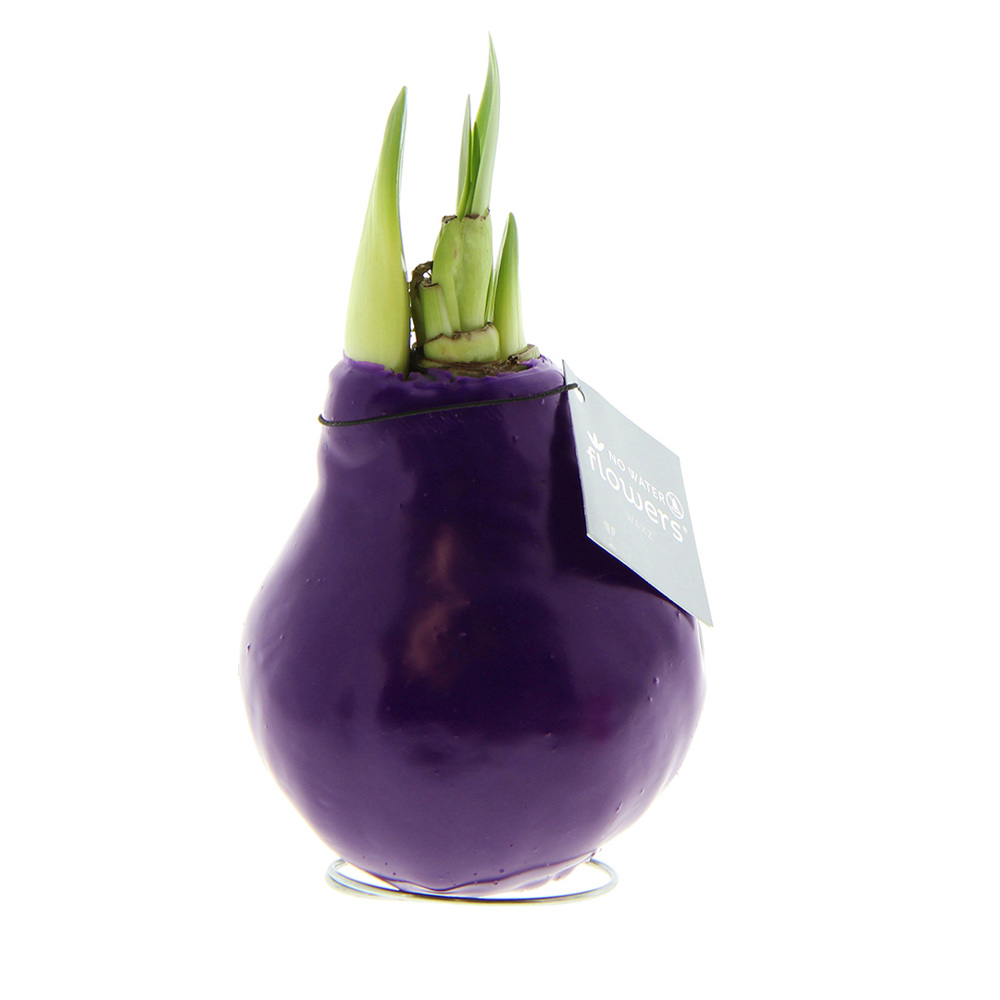 No Water Flowers® - Waxz® Colours - lila