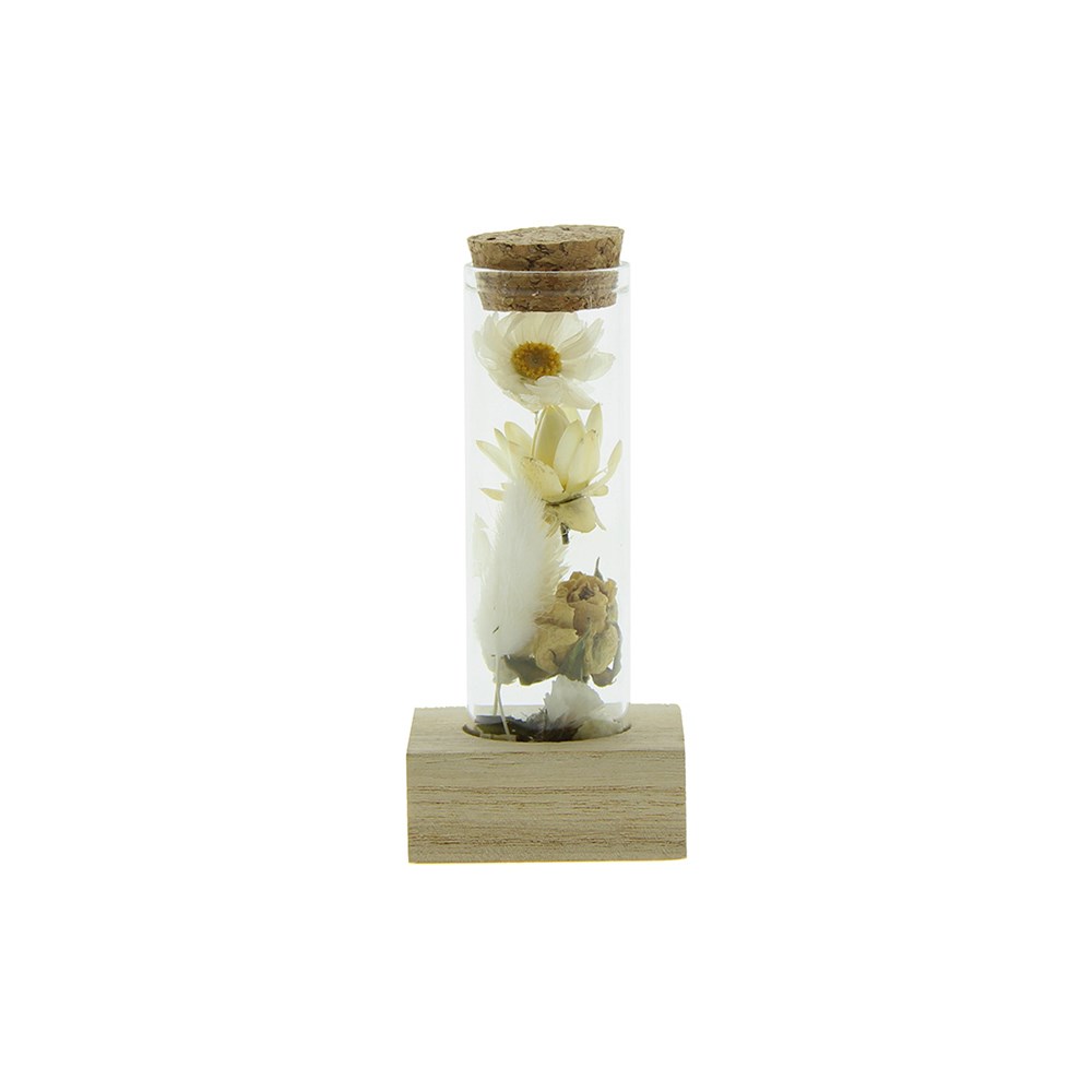 Dried Flowers - Single tube & wood - Weiß