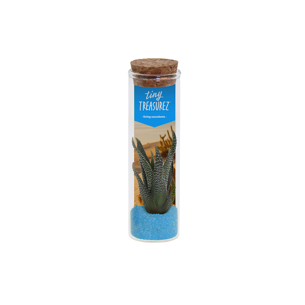 Tiny Treasurez® - Message in a bottle small - hellblau