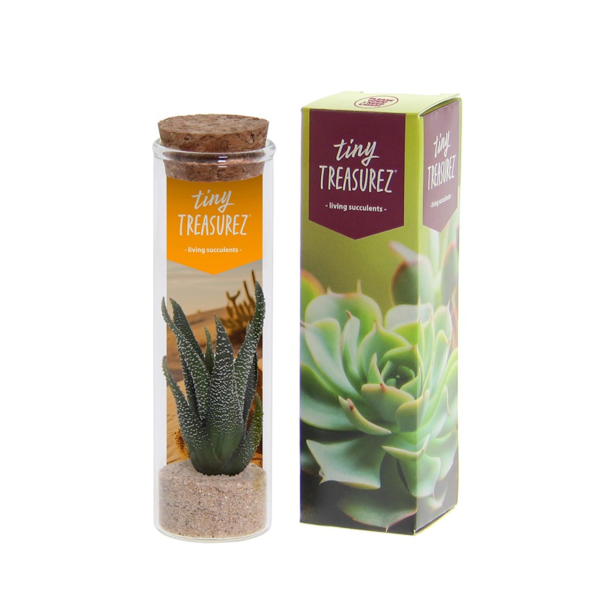 Tiny Treasurez® - Message in a bottle small, In Geschenkbox, Lila