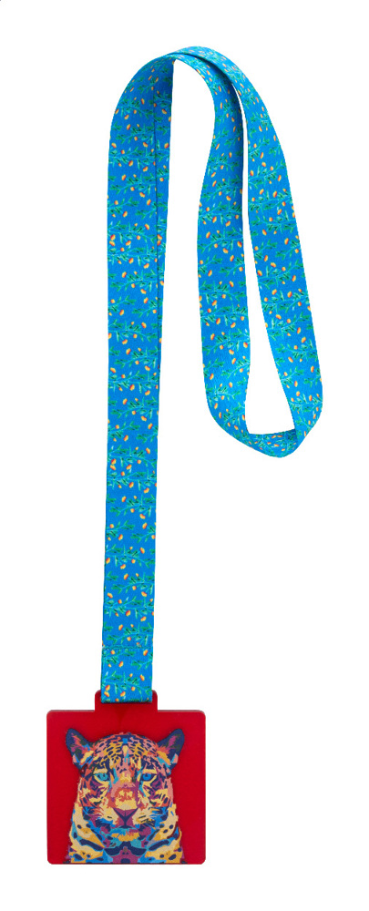 Subdal Colour Square - Individuelle Medaille - rot/transparent