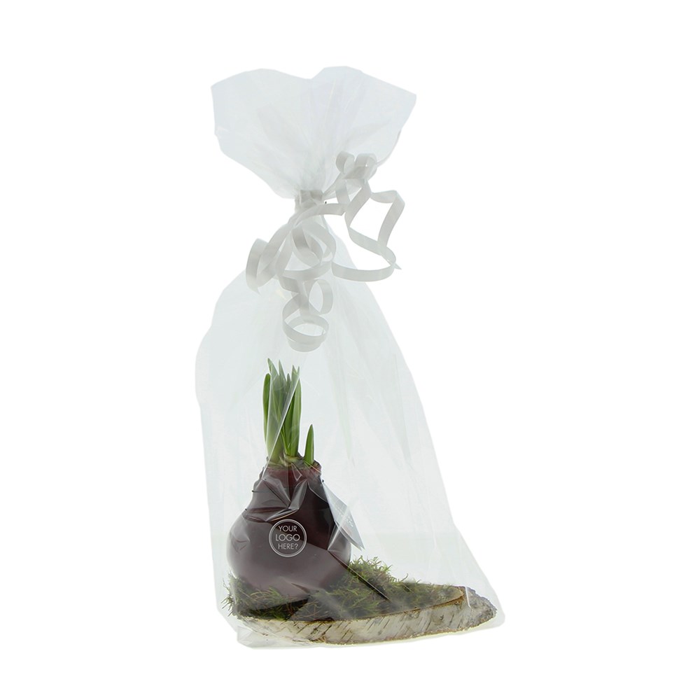 No Water Flowers® - Waxz® on wood, Ohne Verpackung, Silber