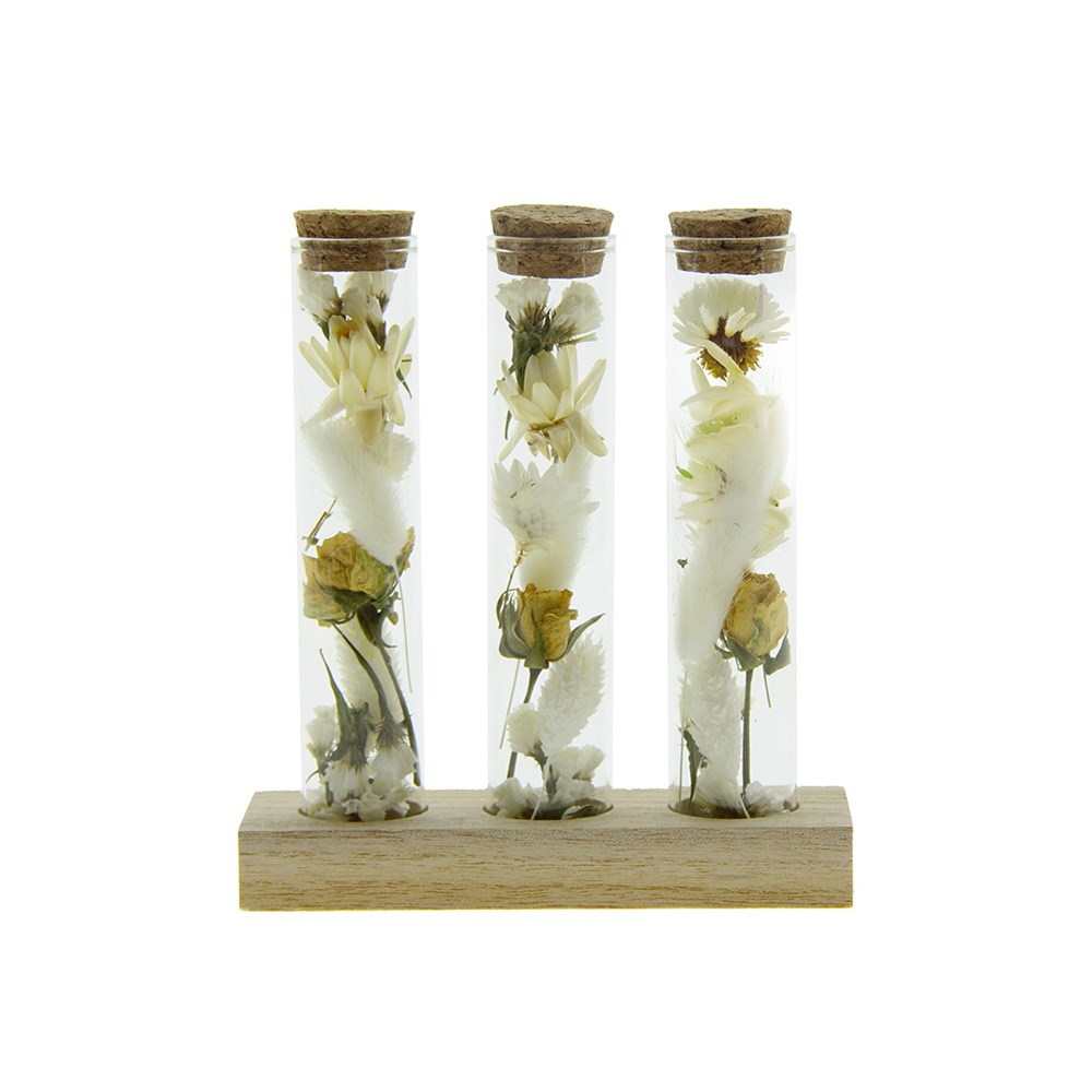 Dried Flowers - Trio tube & wood - Weiß