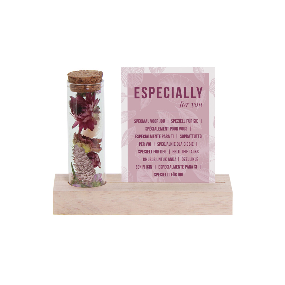 Dried Flowers - Cardholder & tube - rosa