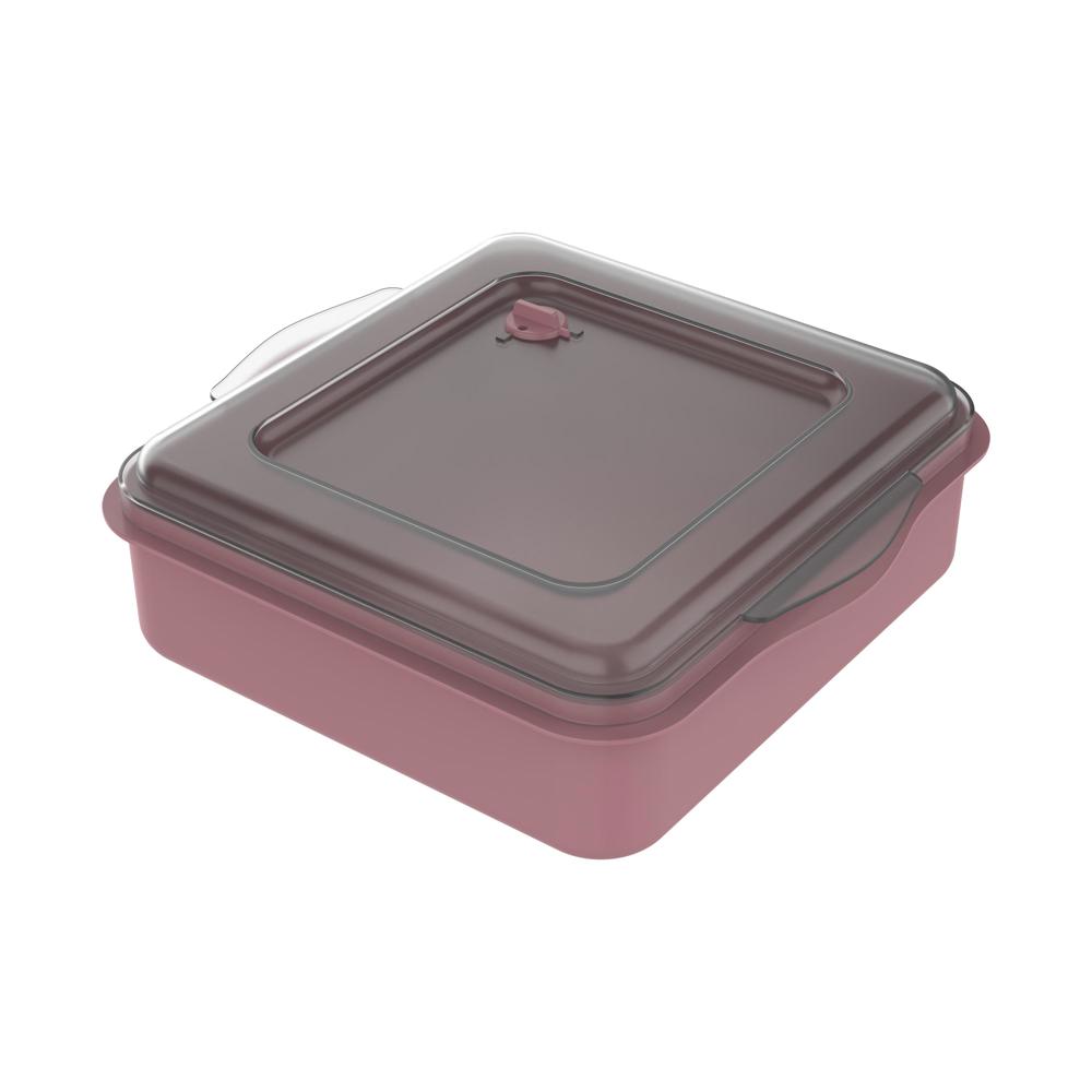 Universalbox „ToGo“ - raffiniertes rot/transparent
