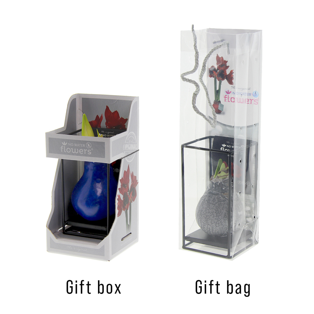 No Water Flowers® - Formz industrial, In Geschenkbox, Rot