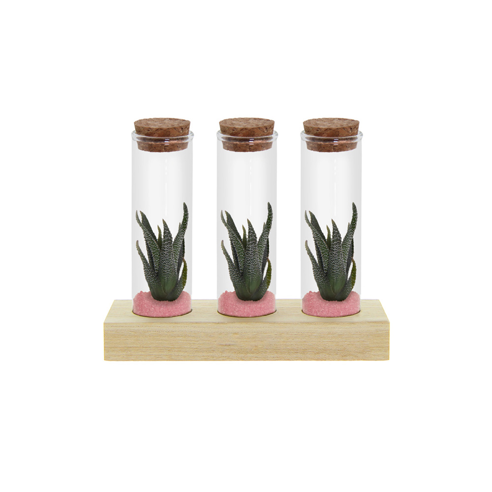 Tiny Treasurez® - Trio tube & wood - hellrosa