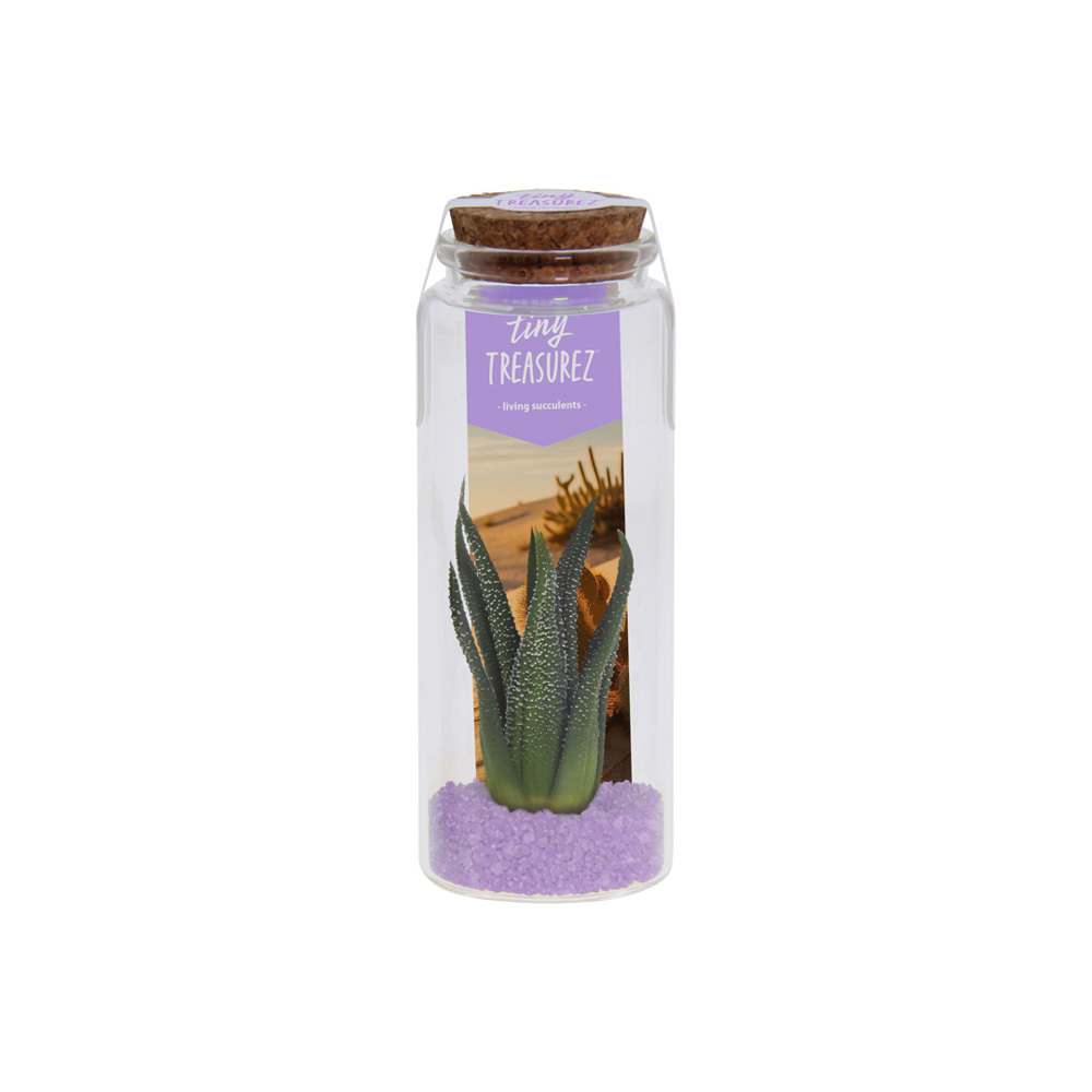 Tiny Treasurez® - Message in a bottle large - lila