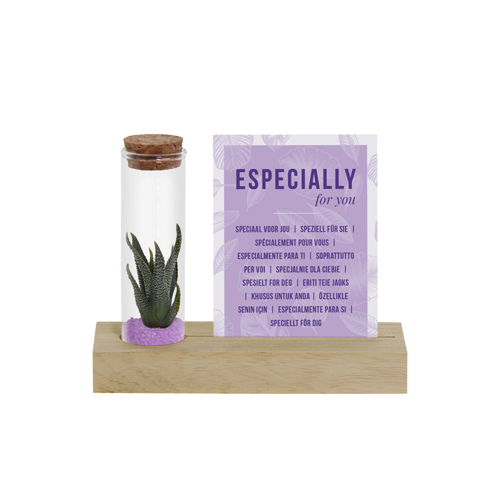 Tiny Treasurez® - Cardholder & tube - lila