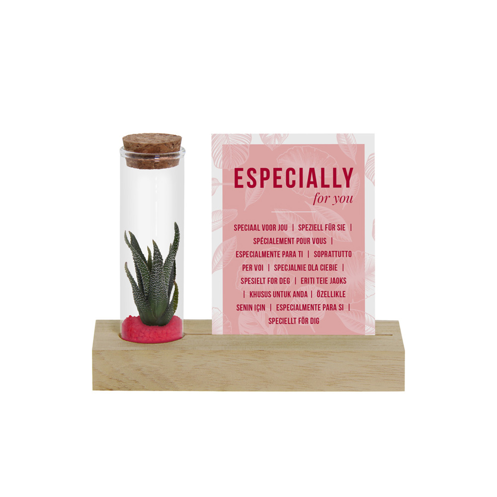 Tiny Treasurez® - Cardholder & tube - Dunkelrosa